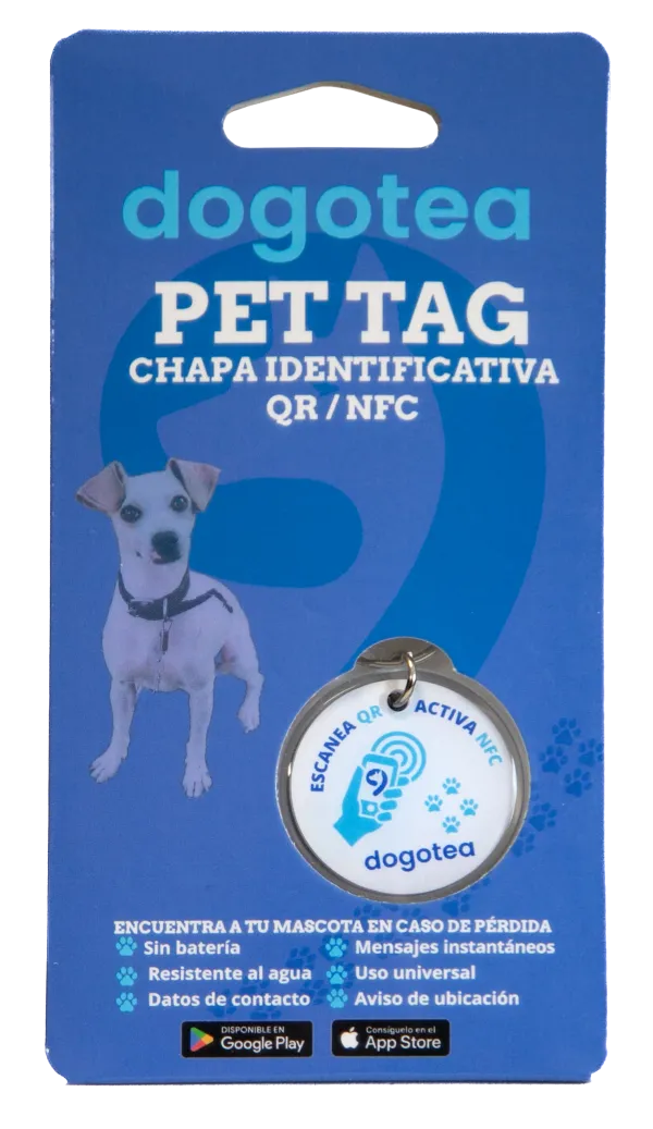 Perro golden retriever